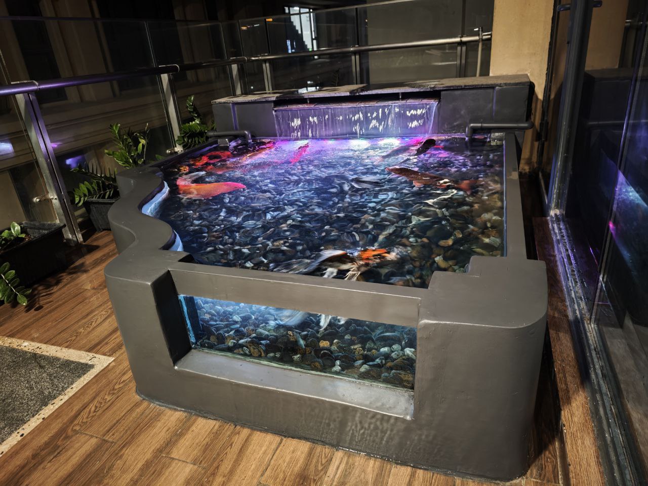 Bespoke Koi Fish sanctuary installation, featuring Luxury Ponds in Phnom Penh